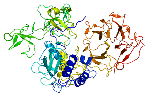 List of 24 matrix metalloproteinases (MMPs) classified into 6 subfamilies.