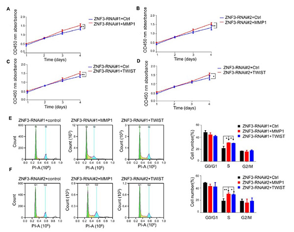 ZNF3 regulates proliferation, migration and invasion through MMP1 and TWIST in colorectal cancer.
