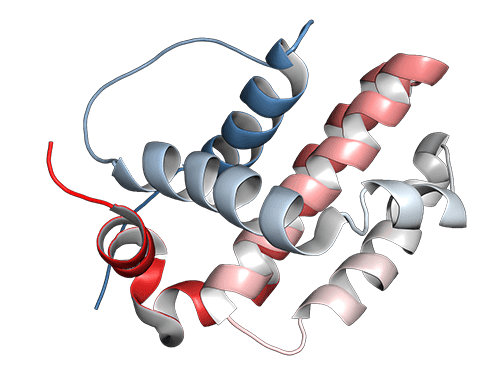 3D rendering of BCL2 protein.