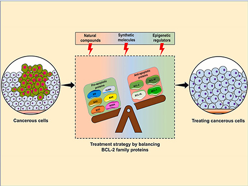 BCL2 family proteins have shown key potential in targeting neoplastic diseases.