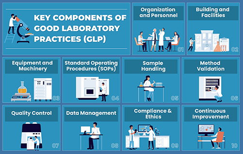 Key components of good laboratory practice, from organization and personnel to continuous improvement.