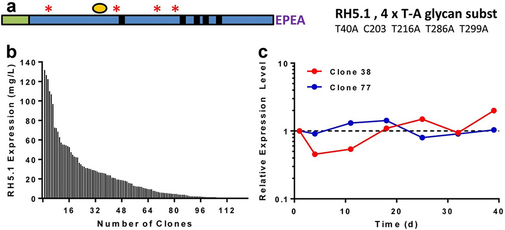 Production, quality control, stability, and potency of cGMP-produced Plasmodium falciparum RH5.1 protein vaccine expressed in Drosophila S2 cells.