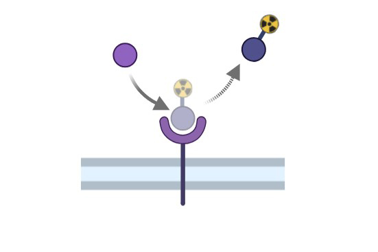 Bacterial System
