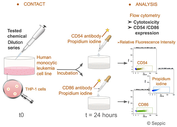 Protocol for the Human Cell Line Activation Test (h-CLAT)