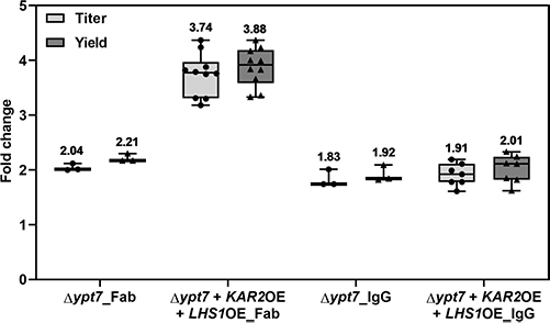 Graph showing the effect of YPT7 gene disruption and overexpression of KAR2 and LHS1 on Fab and IgG yield in engineered Pichia pastoris.