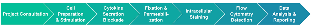 Step-by-step service workflow of intracellular cytokine activity assay