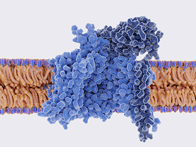 Ion channel profiling.