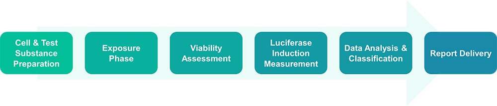 Workflow of KeratinoSens assay service