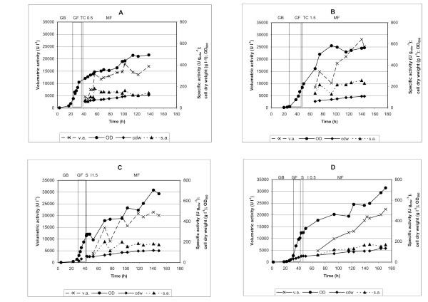 Fig2. The effect of transient phase profile on hPGAEc production in fed-batch cultures of the strain P. pastoris X-33(pPIC-PA1). (Maresová, et al., 2010)