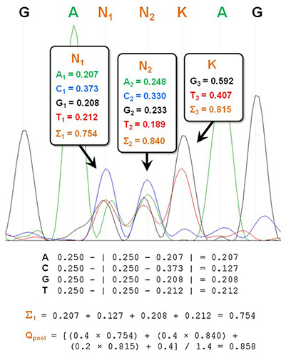 Quantitative evaluation of site-saturation mutagenesis library quality