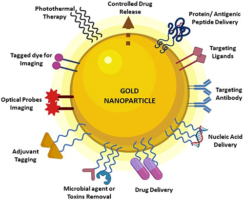 Applications of gold nanoparticles in diagnostics and therapeutics