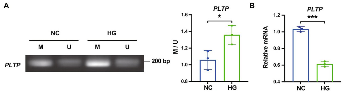 DNA hypermethylation of PLTP mediated by DNMT3B aggravates vascular dysfunction in diabetic retinopathy via the AKT/GSK3β signaling pathway.