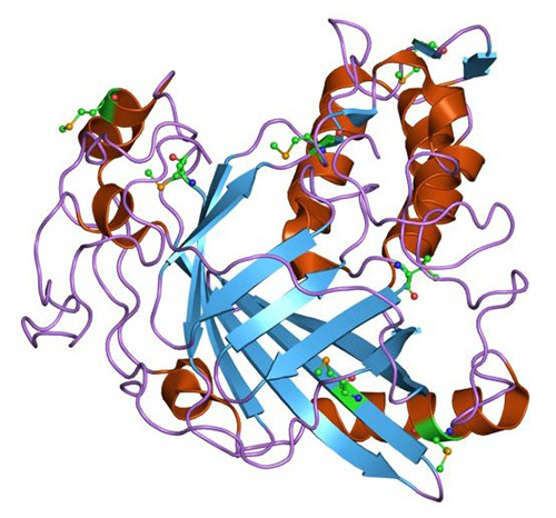 Cartoon representation of the molecular structure of protein registered with 1vpr code.