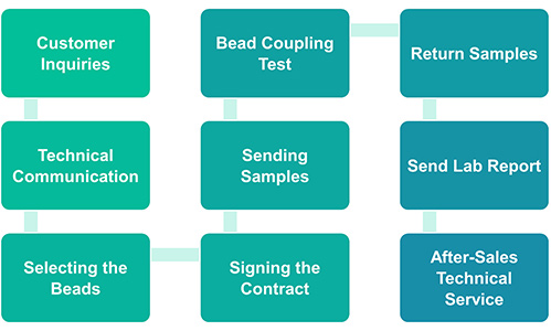 Workflow of magnetic bead-coupled protein and nucleic acid service
