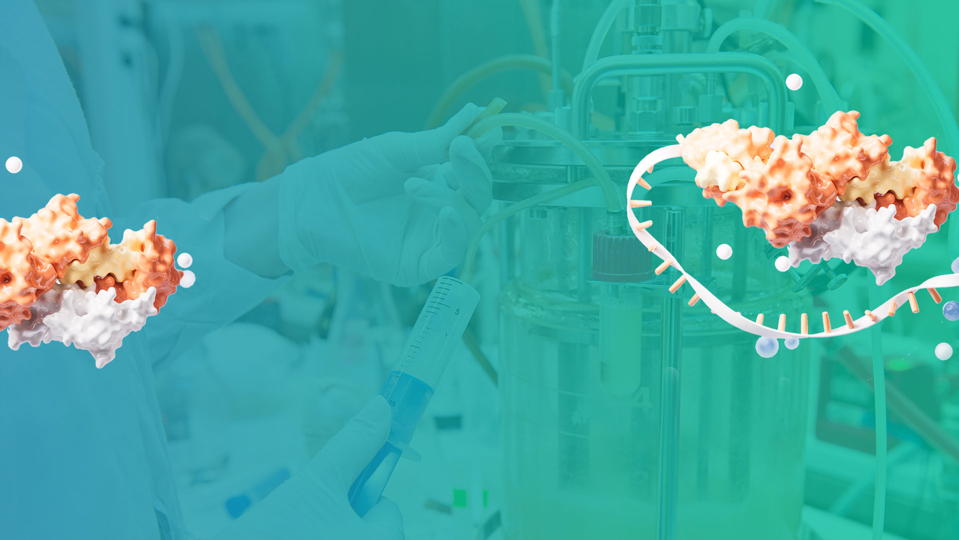 Creative BioMart