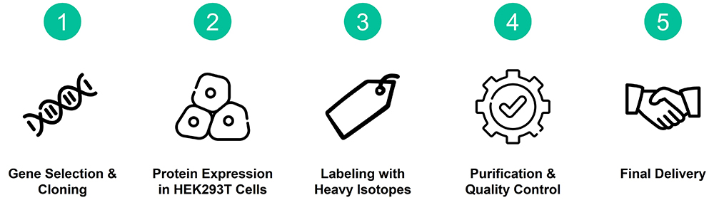 Workflow of mass standard protein production service
