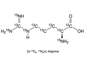 Isotopic labels used: [U-13C6, 15N4]-L-Arginine and [U-13C6, 15N2]-L-Arginine