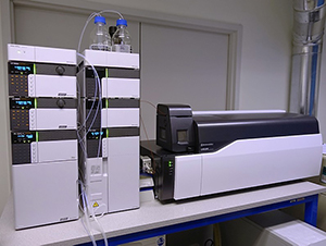 High purity achieved in mass standard protein production