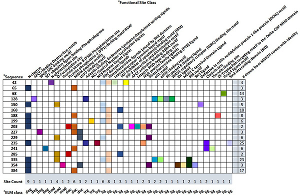 Identification of interacting proteins of maize mosaic virus glycoprotein in its vector, Peregrinus maidis
