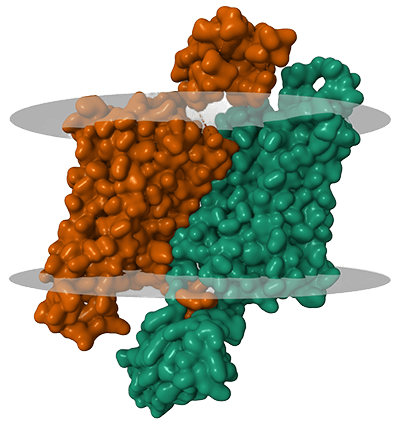Nuclear protein extraction service