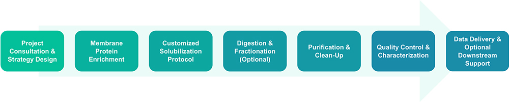 Workflow for membrane protein extraction service