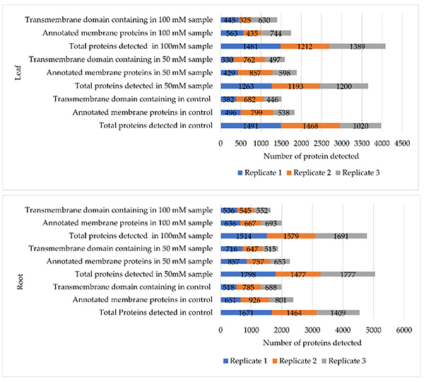Membrane proteomic profiling of soybean leaf and root tissues uncovers salt-stress-responsive membrane proteins