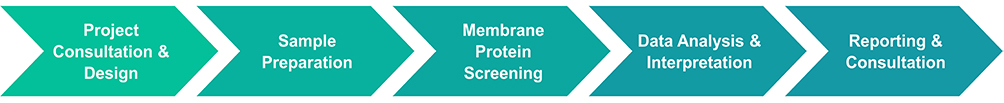 Workflow of membrane protein screening service