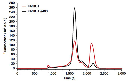 Mammalian cell-based screening and large-scale expression of membrane proteins for structural research