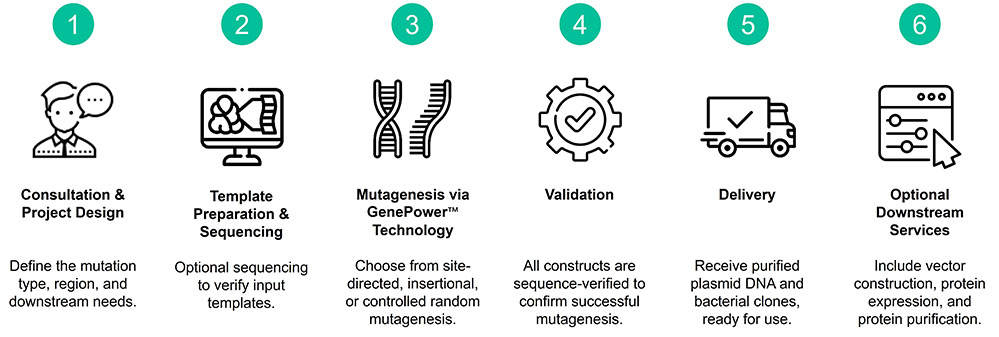 Workflow of mutagenesis services
