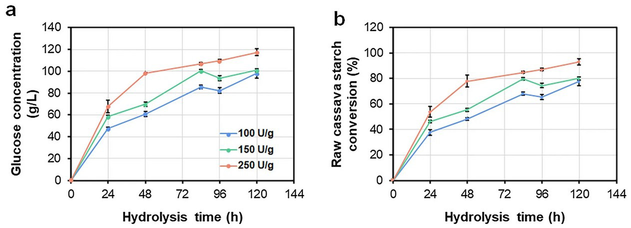 Enhanced enzyme production in Penicillium oxalicum via genetic engineering and random mutagenesis