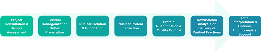 Workflow for nuclear protein extraction service
