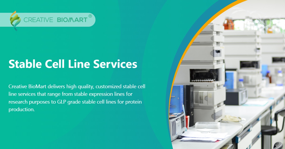 Stable Cell Line Services Creative BioMart