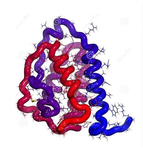 GM-CSF protein structure diagram