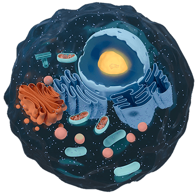 Organelle protein extraction service