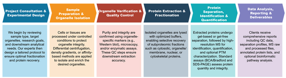 Workflow for organelle protein extraction service
