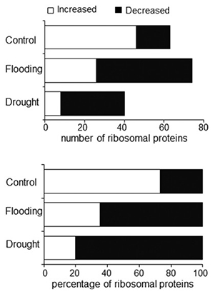 Gel-free/label-free proteomic analysis of endoplasmic reticulum proteins in soybean root tips under flooding and drought stresses