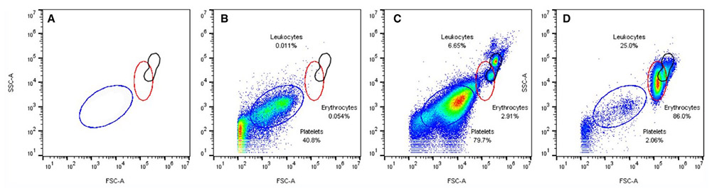 Validation of a flow cytometric assay to detect intraerythrocytic reactive oxygen species in horses.