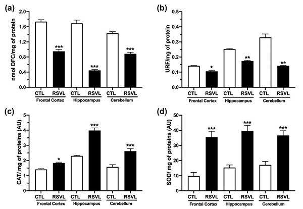 Chronic resveratrol administration reduces oxidative stress and brain cell loss and improves memory of recognition in old rats.