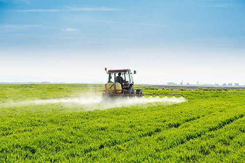 Pesticide residue test service.