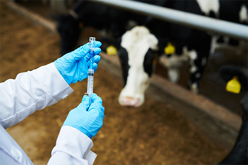Veterinary residue test service.