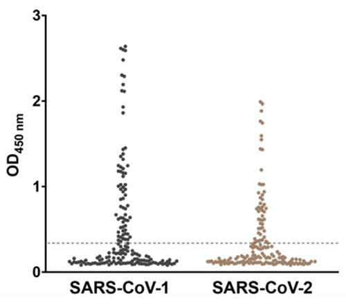 Computational and phage display optimization of llama nanobody binding interface for sarbecovirus antigen