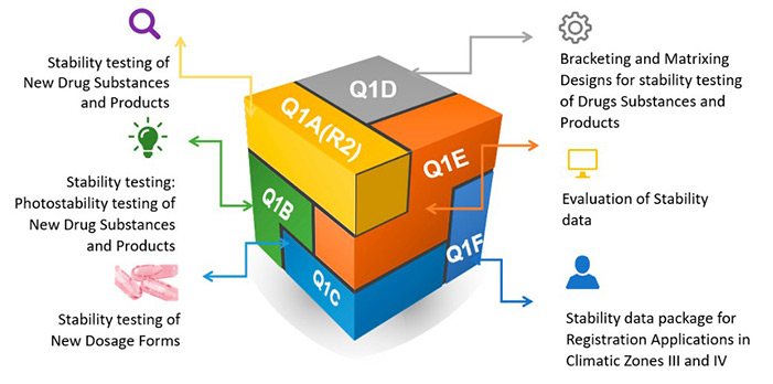 Overview of ICH codes and titles.