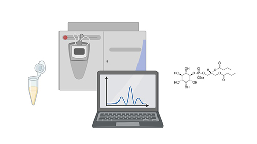 Lipid peroxidation and antioxidant protection; Valgimigli, 2023.