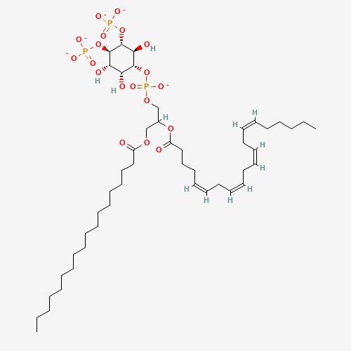 Fatty Acid Oxidation Assays