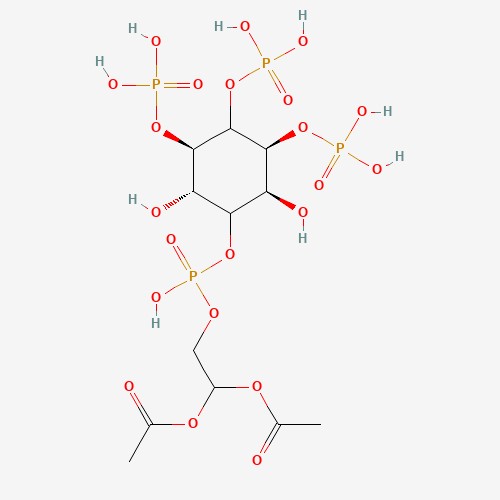 Fatty Acid Uptake Studies