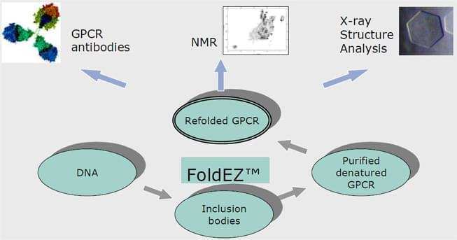 Custom Membrane Protein Production