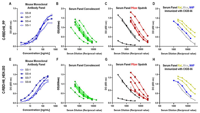 Antigenicity analysis of RBD protein expressed in Pichia pastoris