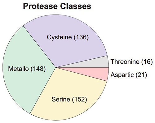 Protease Classes: Cysteine, threonine, aspartic, serine, and metallo-protease.