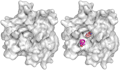Protein binding site mapping service