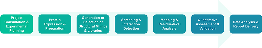 Workflow for protein binding site mapping service